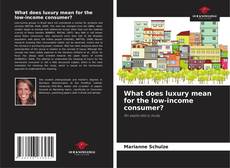What does luxury mean for the low-income consumer? kitap kapağı