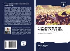 Buchcover von Исследование генов лептина и GHR у козы