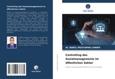 Couverture de Controlling des Sozialmanagements im öffentlichen Sektor