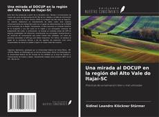 Buchcover von Una mirada al DOCUP en la región del Alto Vale do Itajaí-SC