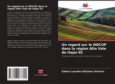 Buchcover von Un regard sur le DOCUP dans la région Alto Vale do Itajaí-SC