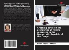 Portada del libro de Cracking down on the plundering of mining resources in the Democratic Republic of the Congo