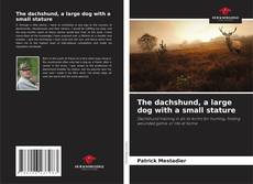 The dachshund, a large dog with a small stature kitap kapağı