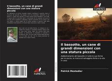 Capa do livro de Il bassotto, un cane di grandi dimensioni con una statura piccola 