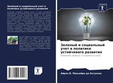 Зеленый и социальный учет в политике устойчивого развития kitap kapağı