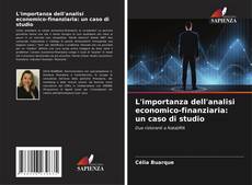 Buchcover von L'importanza dell'analisi economico-finanziaria: un caso di studio
