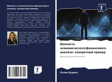 Copertina di Важность экономического/финансового анализа: конкретный пример