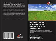 Portada del libro de Biodiversità del frumento tenero nell'Algeria sud-occidentale