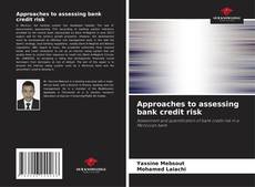 Copertina di Approaches to assessing bank credit risk