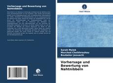 Bookcover of Vorhersage und Bewertung von Nahtnibbeln