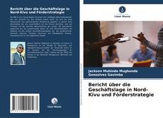 Bookcover of Bericht über die Geschäftslage in Nord-Kivu und Förderstrategie