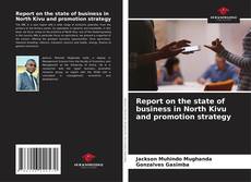 Portada del libro de Report on the state of business in North Kivu and promotion strategy