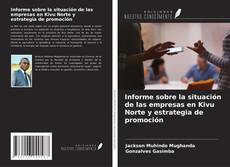 Informe sobre la situación de las empresas en Kivu Norte y estrategia de promoción kitap kapağı