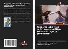 Bookcover of Rapporto sullo stato delle imprese nel Nord Kivu e strategia di promozione