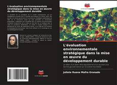 Copertina di L'évaluation environnementale stratégique dans la mise en œuvre du développement durable