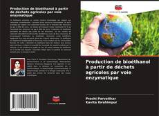 Copertina di Production de bioéthanol à partir de déchets agricoles par voie enzymatique