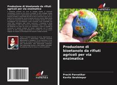 Обложка Produzione di bioetanolo da rifiuti agricoli per via enzimatica