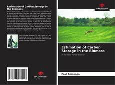 Buchcover von Estimation of Carbon Storage in the Biomass