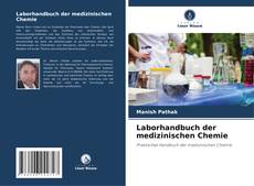 Bookcover of Laborhandbuch der medizinischen Chemie