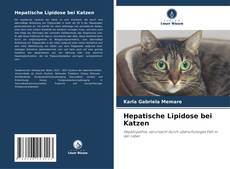 Bookcover of Hepatische Lipidose bei Katzen