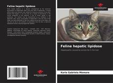 Feline hepatic lipidose kitap kapağı