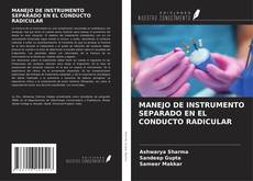 Buchcover von MANEJO DE INSTRUMENTO SEPARADO EN EL CONDUCTO RADICULAR