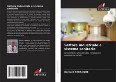 Settore industriale e sistema sanitario kitap kapağı