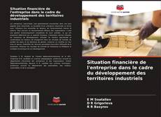 Portada del libro de Situation financière de l'entreprise dans le cadre du développement des territoires industriels