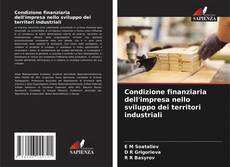 Bookcover of Condizione finanziaria dell'impresa nello sviluppo dei territori industriali