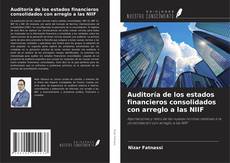 Copertina di Auditoría de los estados financieros consolidados con arreglo a las NIIF