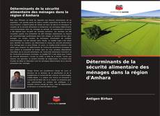 Déterminants de la sécurité alimentaire des ménages dans la région d'Amhara kitap kapağı