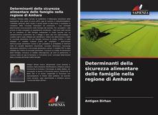 Borítókép a  Determinanti della sicurezza alimentare delle famiglie nella regione di Amhara - hoz