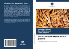 Bookcover of Die Schnecke Omphiscola glabra