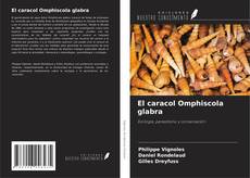 El caracol Omphiscola glabra kitap kapağı