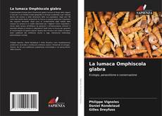 La lumaca Omphiscola glabra的封面