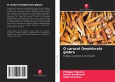O caracol Omphiscola glabra的封面