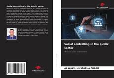 Capa do livro de Social controlling in the public sector 