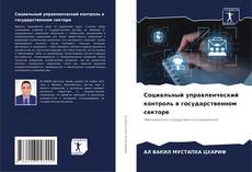 Buchcover von Социальный управленческий контроль в государственном секторе