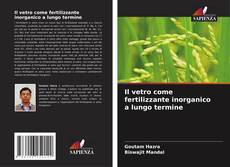 Bookcover of Il vetro come fertilizzante inorganico a lungo termine