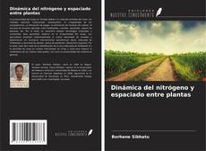 Copertina di Dinámica del nitrógeno y espaciado entre plantas