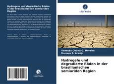 Capa do livro de Hydrogele und degradierte Böden in der brasilianischen semiariden Region 