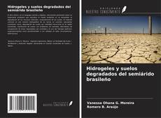 Capa do livro de Hidrogeles y suelos degradados del semiárido brasileño 