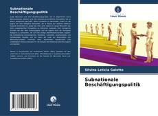 Capa do livro de Subnationale Beschäftigungspolitik 