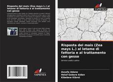 Portada del libro de Risposta del mais (Zea mays L.) al letame di fattoria e al trattamento con gesso