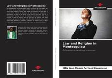 Law and Religion in Montesquieu kitap kapağı