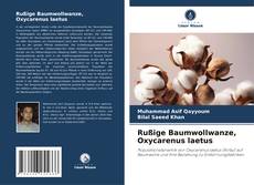 Rußige Baumwollwanze, Oxycarenus laetus kitap kapağı