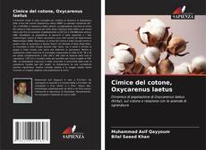 Cimice del cotone, Oxycarenus laetus kitap kapağı