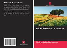 Maternidade e ruralidade kitap kapağı