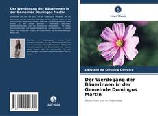 Capa do livro de Der Werdegang der Bäuerinnen in der Gemeinde Domingos Martin 