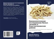 Bookcover of Биоэкологическое исследование белых личинок в Константиновском районе